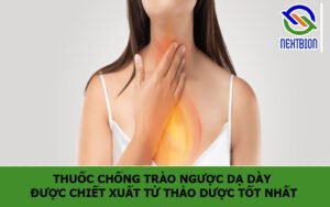 Thuốc chống trào ngược dạ dày được chiết xuất từ thảo dược tốt nhất