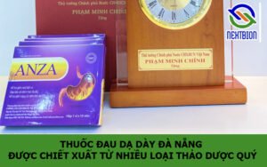 Thuốc đau dạ dày Đà Nẵng được chiết xuất từ nhiều loại thảo dược quý