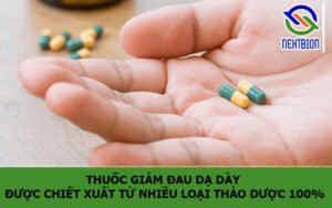 Thuốc giảm đau dạ dày được chiết xuất từ nhiều loại thảo dược 100%