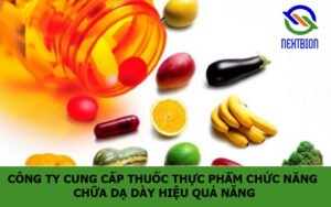 Công ty cung cấp thuốc thực phẩm chức năng chữa dạ dày hiệu quả Nẵng