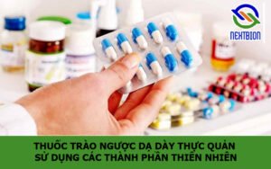 Thuốc trào ngược dạ dày thực quản sử dụng các thành phần thiên nhiên