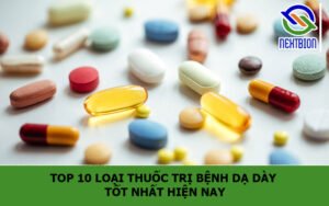 TOP 10 Loại thuốc trị bệnh dạ dày tốt nhất hiện nay