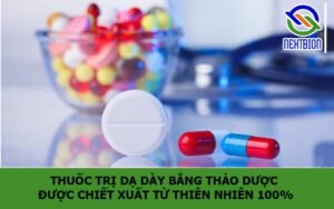 Thuốc trị dạ dày bằng thảo dược được chiết xuất từ thiên nhiên 100%