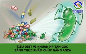 Tiêu diệt vi khuẩn hp tận gốc bằng thực phẩm chức năng ANZA