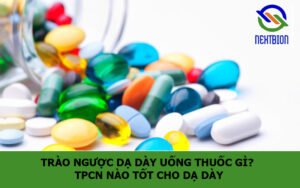 Trào ngược dạ dày uống thuốc gì? TPCN nào tốt cho dạ dày