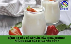 Bệnh dạ dày có nên ăn sữa chua không? Những loại sữa chua nào tốt ?