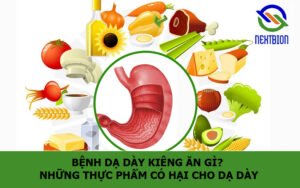 Bệnh dạ dày kiêng ăn gì? Những thực phẩm có hại cho dạ dày