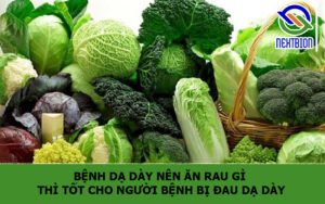 Bệnh dạ dày nên ăn rau gì thì tốt cho người bệnh bị đau dạ dày