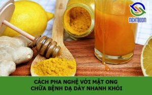 Cách pha nghệ với mật ong chữa bệnh dạ dày nhanh khỏi