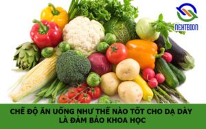 Chế độ ăn uống như thế nào tốt cho dạ dày là đảm bảo khoa học