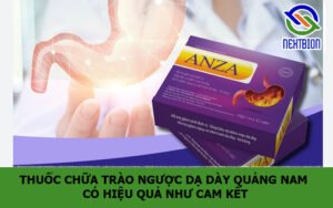 Thuốc chữa trào ngược dạ dày Quảng Nam có hiệu quả như cam kết