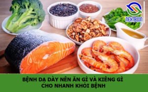 Bệnh dạ dày nên ăn gì và kiêng gì cho nhanh khỏi bệnh