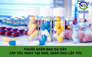 Thuốc giảm đau dạ dày cấp tốc ngay tại nhà, giảm đau lập tức