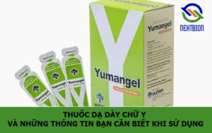 Thuốc dạ dày chữ Y và những thông tin bạn cần biết khi sử dụng