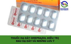 Thuốc dạ dày Omeprazol điều trị đau dạ dày và những lưu ý