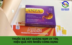 Thuốc dạ dày Quảng Nam uy tín, hiệu quả với nhiều công dụng