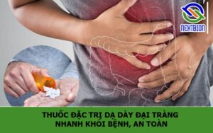 Thuốc đặc trị dạ dày đại tràng nhanh khỏi bệnh, an toàn