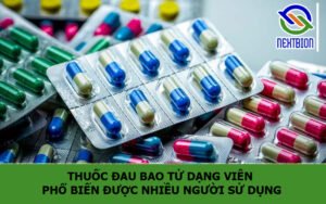 Thuốc đau bao tử dạng viên phổ biến được nhiều người sử dụng