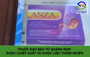 Thuốc đau bao tử Quảng Nam được chiết xuất từ dược liệu thiên nhiên