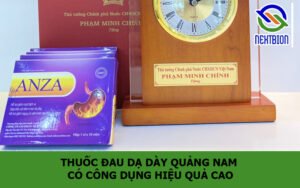 Thuốc đau dạ dày Quảng Nam có công dụng hiệu quả cao