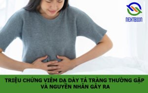 Triệu chứng viêm dạ dày tá tràng thường gặp và nguyên nhân gây ra